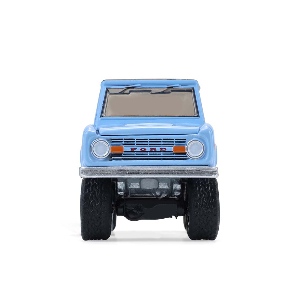 Bronco Custom