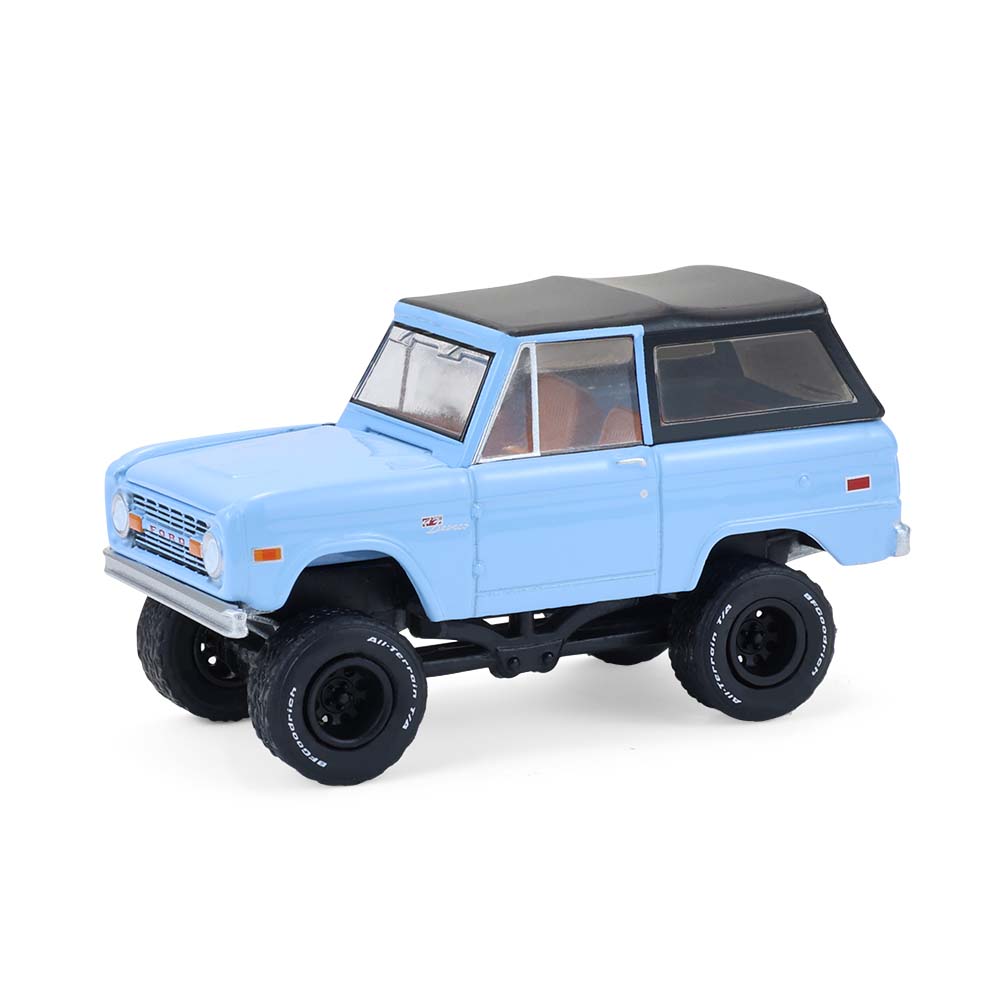 Bronco Custom
