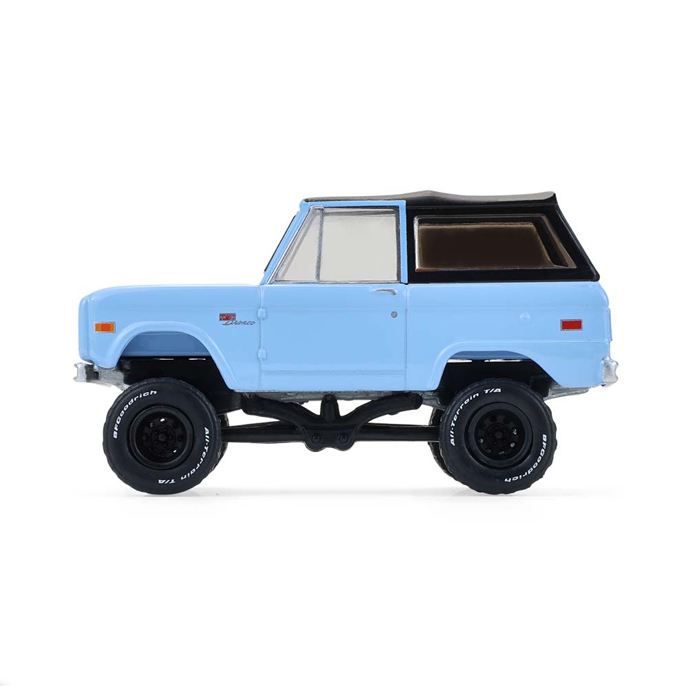 Bronco Custom