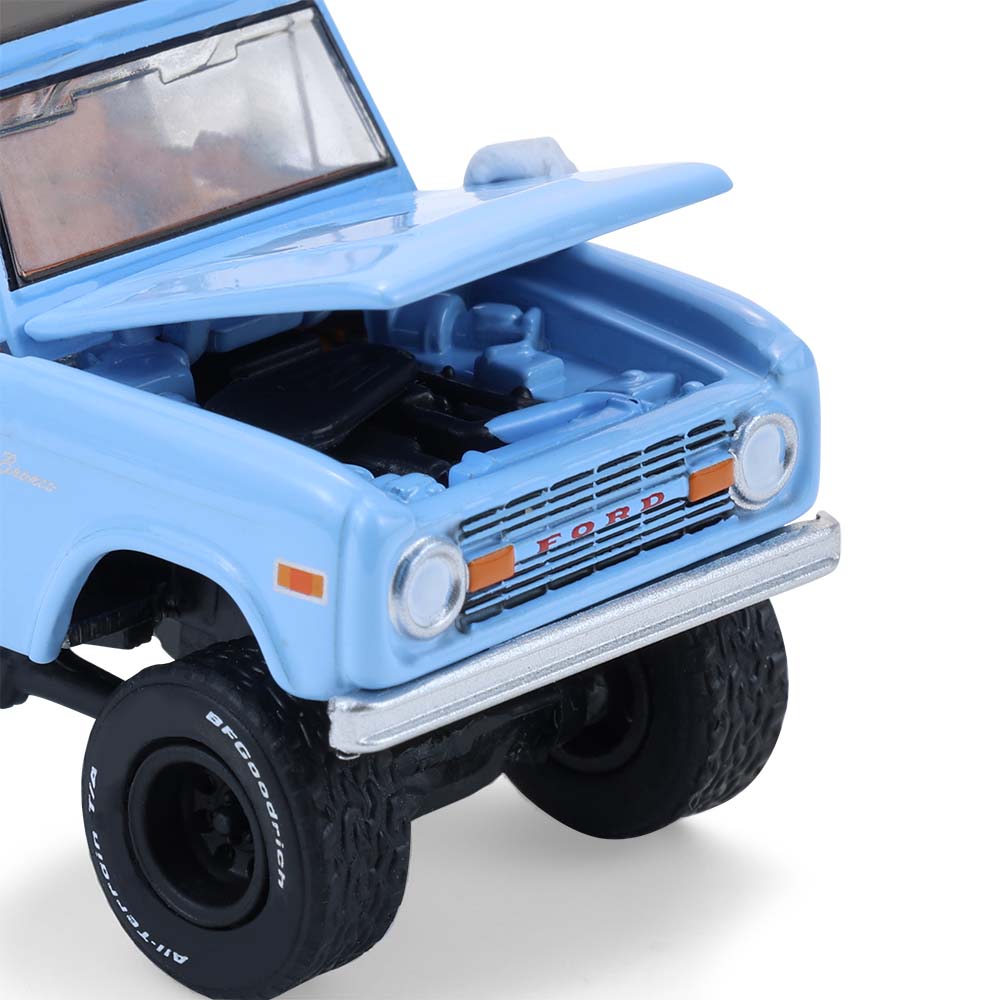 Bronco Custom