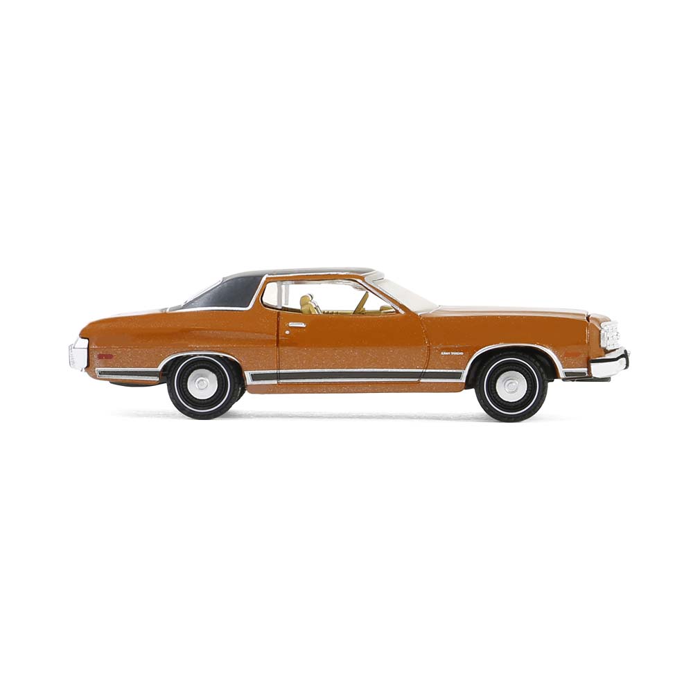 Gran Torino