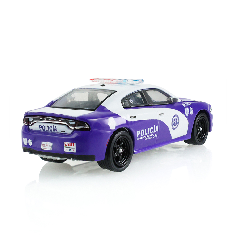 2019 Dodge Charger-SSC specialized Gender Unit
